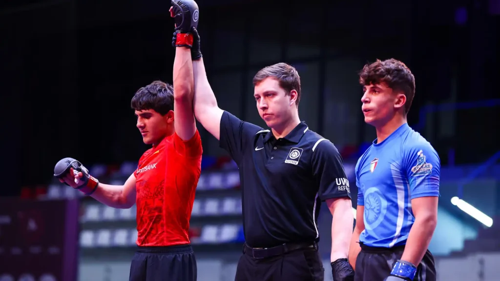 Чемпионат европы – простий гід про турнір, історію, формат і цікаві факти чемпионат европы